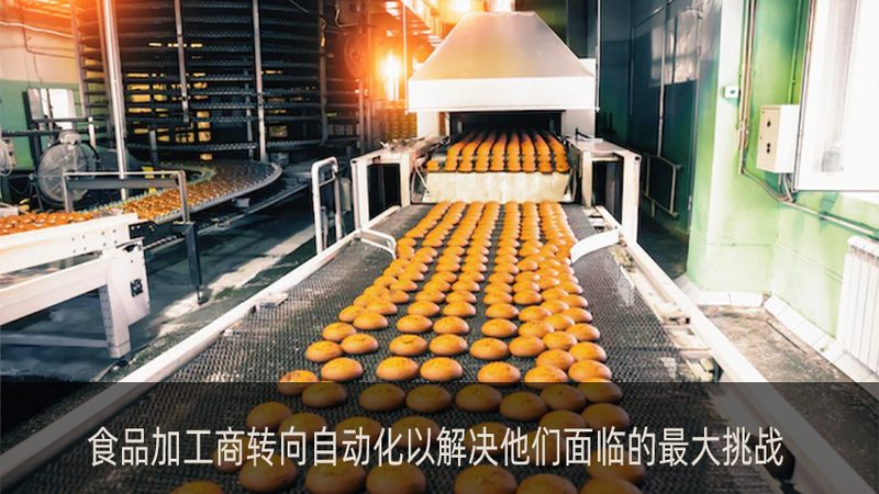 自动炒菜锅与手动炒锅：效率与成本的较量